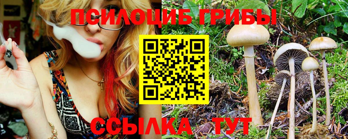 Галлюциногенные грибы GOLDEN TEACHER Вязьма