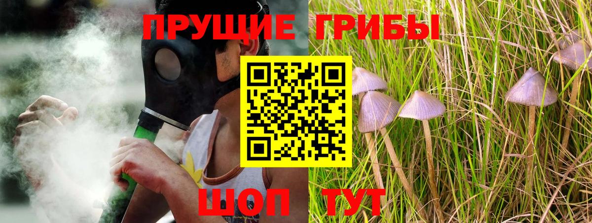 цена   Галлюциногенные грибы мухоморы  Вход с VPN  Вязьма 